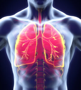 bpco e difficoltà respiratoria nella persona assistita
