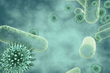 gestione dei disinfettanti