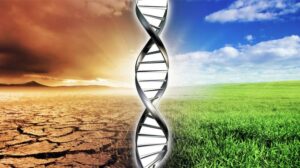concetto di salute e malattia nella persona e nel benessere