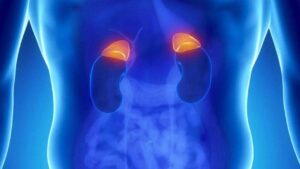 morbo di addison e ghiandole surrenali nella salute endocrina
