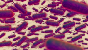 operatore sanitario e paziente durante assistenza con focus sulle infezioni correlate all’assistenza in ambiente sanitario