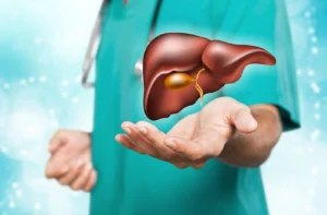 cuore e fegato in grafica sanitaria 3d con anatomia umana e funzioni principali