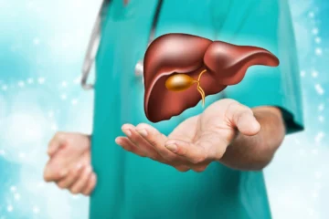 cuore e fegato in grafica sanitaria 3d con anatomia umana e funzioni principali