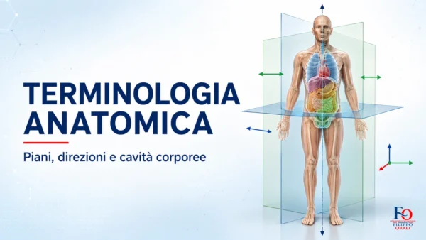 Terminologia anatomica con piani, direzioni e cavità corporee