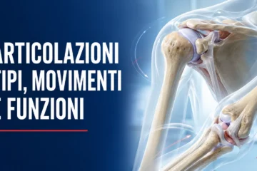 Infografica sulle articolazioni e sulla mobilizzazione