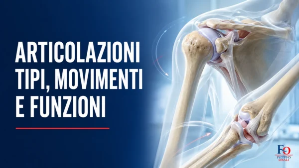 Infografica sulle articolazioni e sulla mobilizzazione
